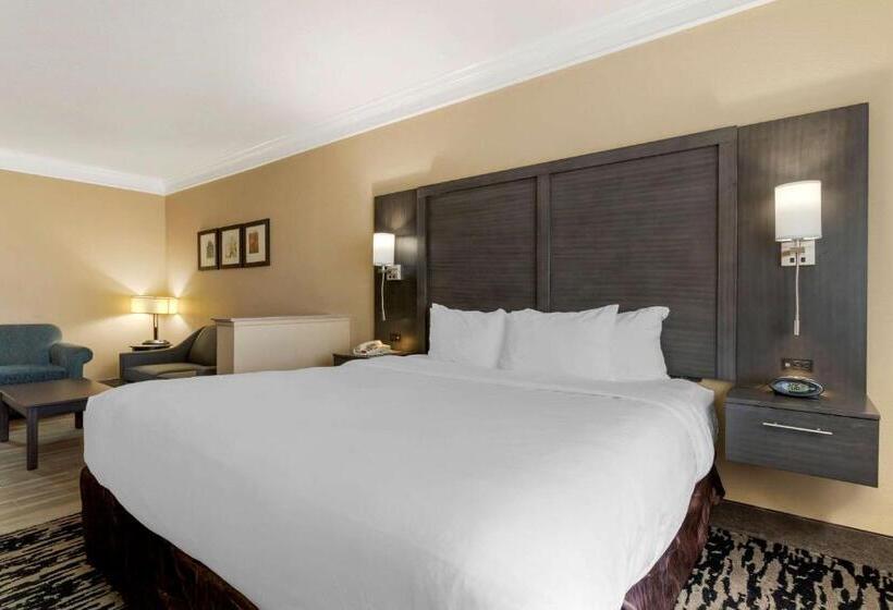 스위트 킹사이즈 침대, Comfort Suites Kingwood Houston North