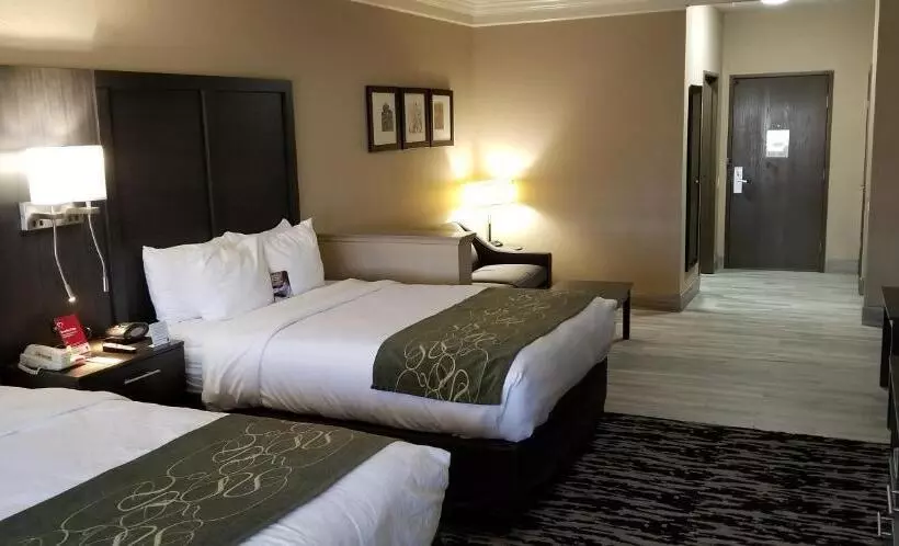 سوئیت برای معلولان, Comfort Suites Kingwood Houston North
