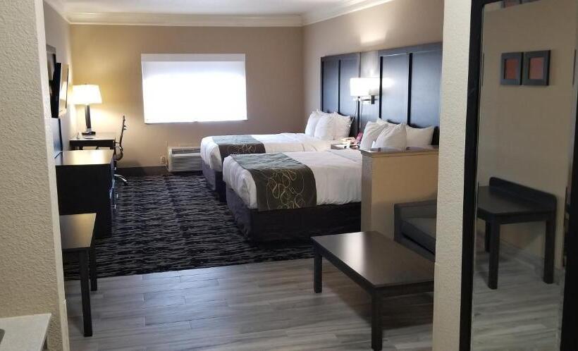 身障者適用スイートルーム, Comfort Suites Kingwood Houston North
