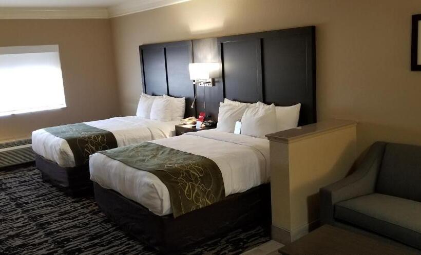 身障者適用スイートルーム, Comfort Suites Kingwood Houston North