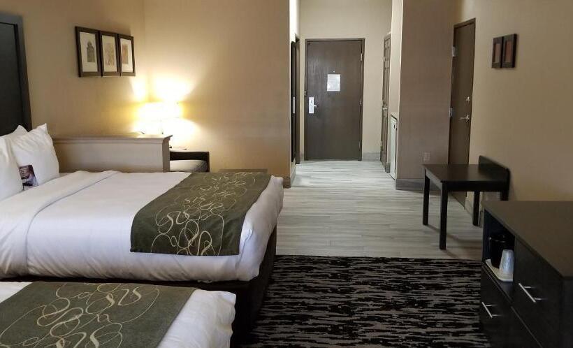 身障者適用スイートルーム, Comfort Suites Kingwood Houston North