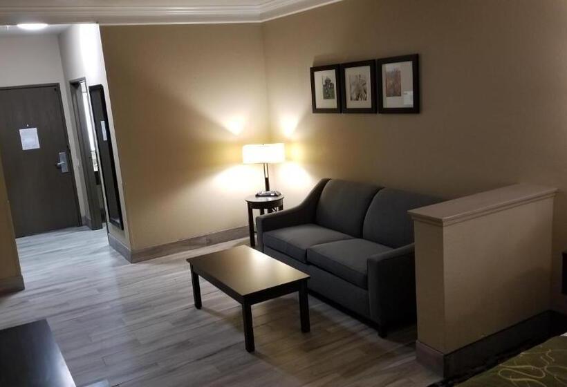 身障者適用スイートルーム, Comfort Suites Kingwood Houston North