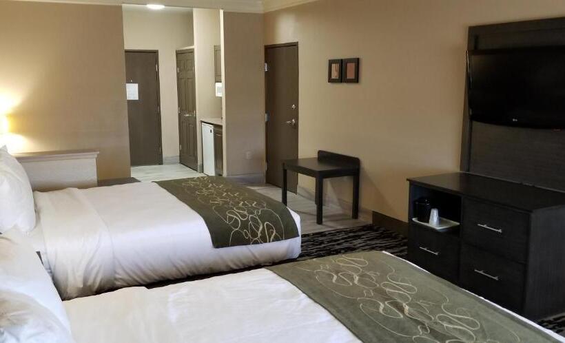 スイート, Comfort Suites Kingwood Houston North