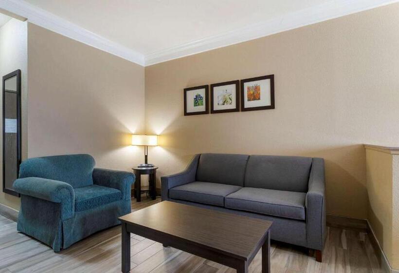 スイート, Comfort Suites Kingwood Houston North