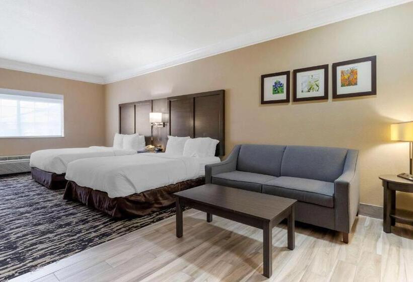 스위트, Comfort Suites Kingwood Houston North