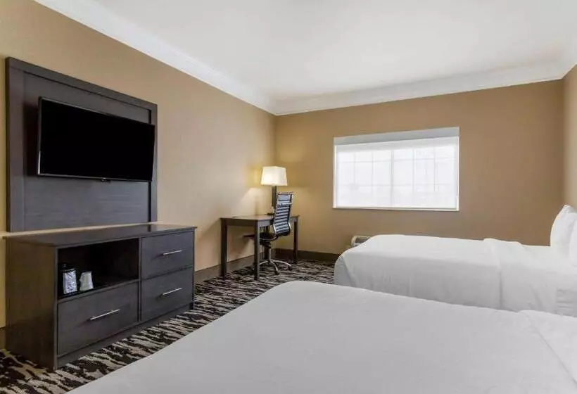 سوییت, Comfort Suites Kingwood Houston North