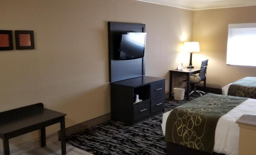 キングサイズベッドのスイートルーム, Comfort Suites Kingwood Houston North