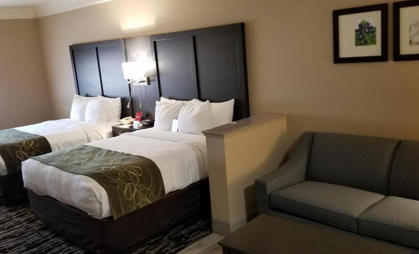 キングサイズベッドのスイートルーム, Comfort Suites Kingwood Houston North