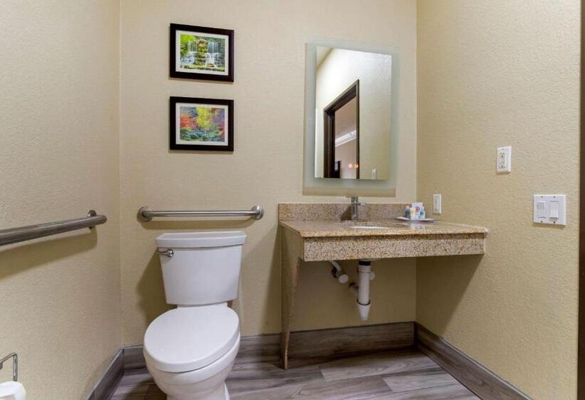 身障者適用スイートルーム, Comfort Suites Kingwood Houston North