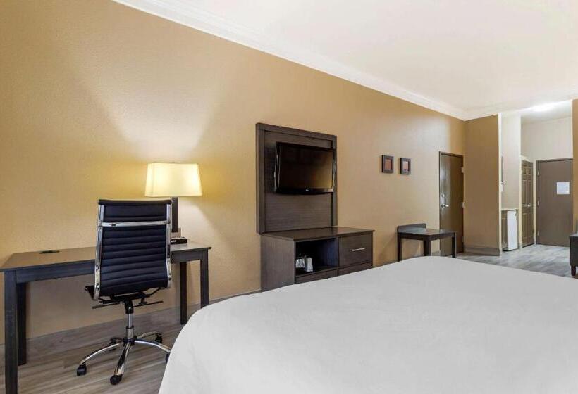 장애인을 위한 스위트, Comfort Suites Kingwood Houston North