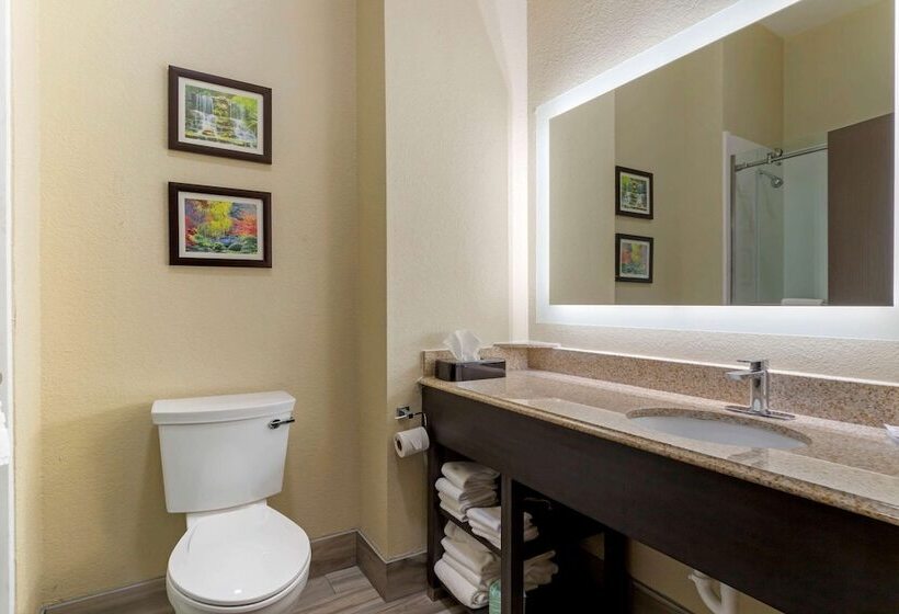 스위트, Comfort Suites Kingwood Houston North