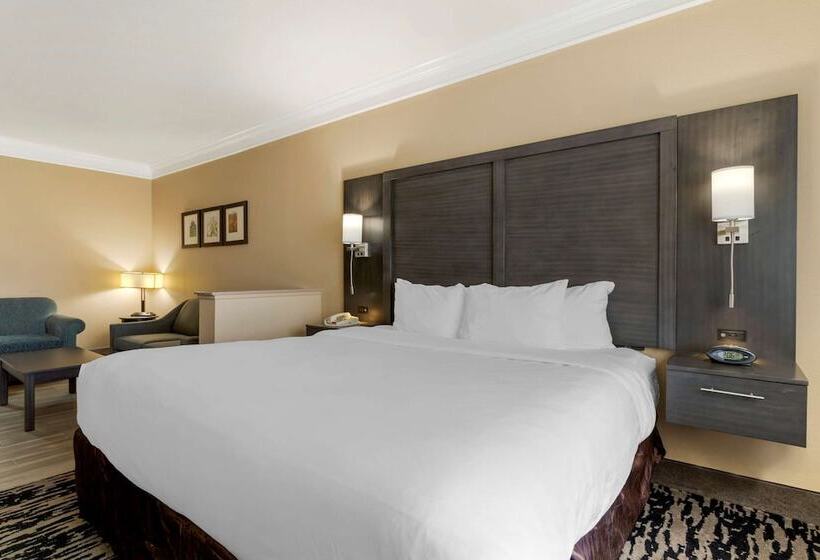 スイート, Comfort Suites Kingwood Houston North