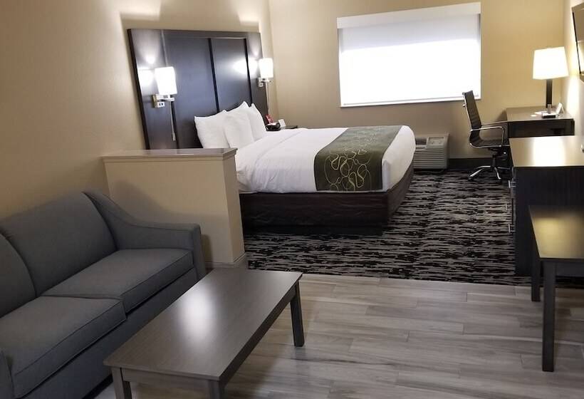 スイート, Comfort Suites Kingwood Houston North