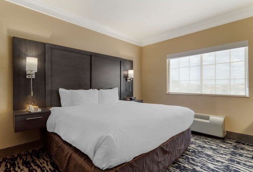 스위트, Comfort Suites Kingwood Houston North