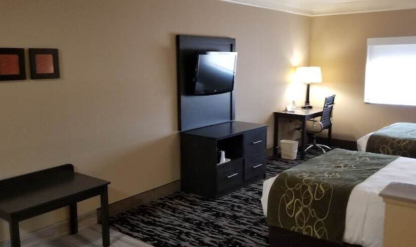 身障者適用スイートルーム, Comfort Suites Kingwood Houston North