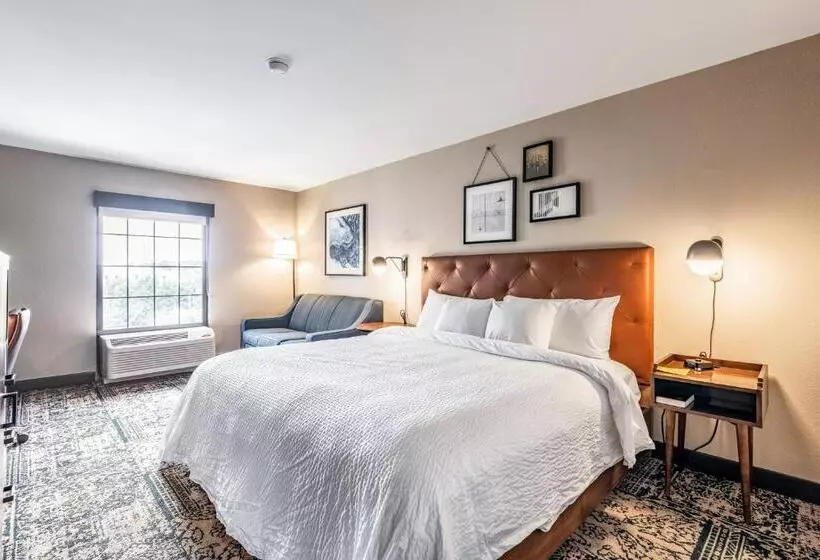 اتاق اجرایی با تخت بزرگ, Four Points By Sheraton Greensboro Airport