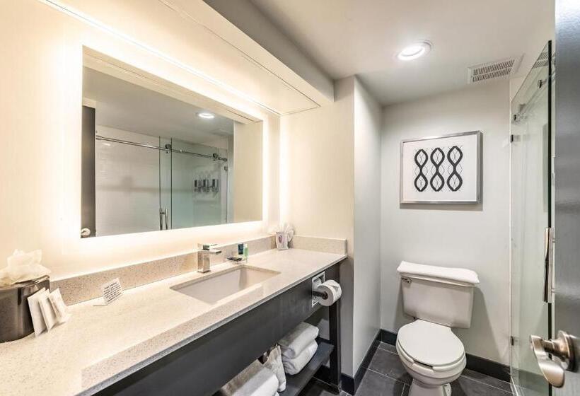 １階のスタンダードルーム, Four Points By Sheraton Greensboro Airport