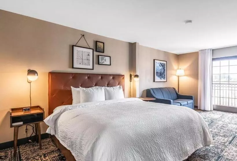اتاق استاندارد با تخت بزرگ, Four Points By Sheraton Greensboro Airport