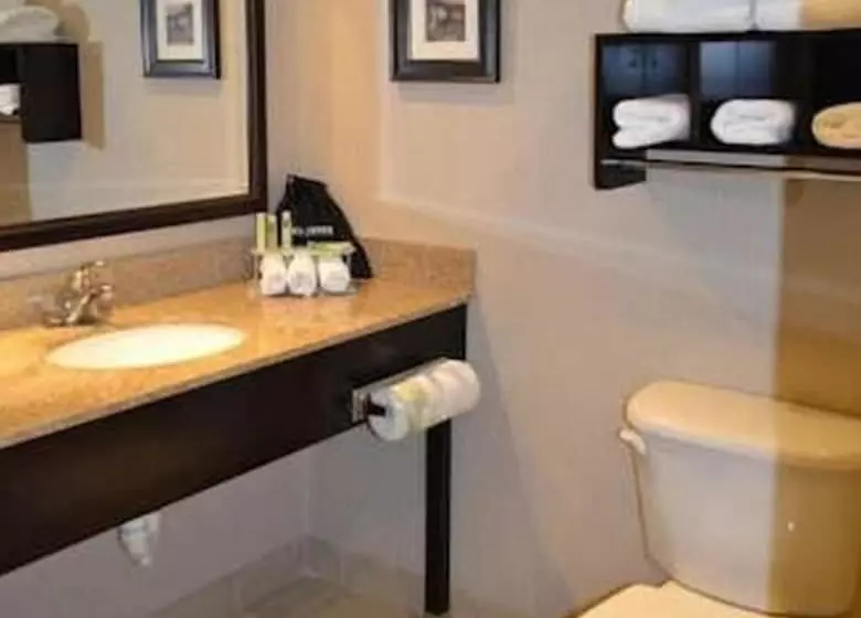 スタンダードルーム, Holiday Inn Express Hotels Biddeford, An Ihg