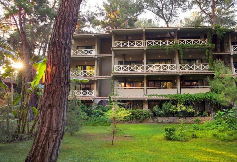 Трехместный Номер Superior, Martı Myra   Ultra All Inclusive