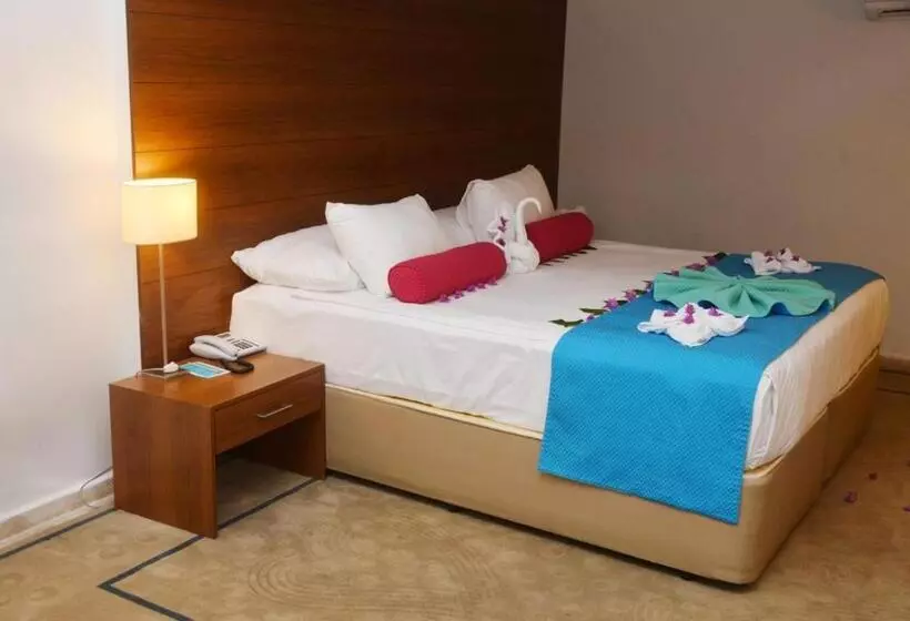 Duplex Suite