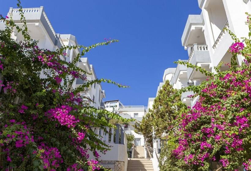 اتاق استاندارد, Smart Holiday Hotel & Suites - All Inclusive