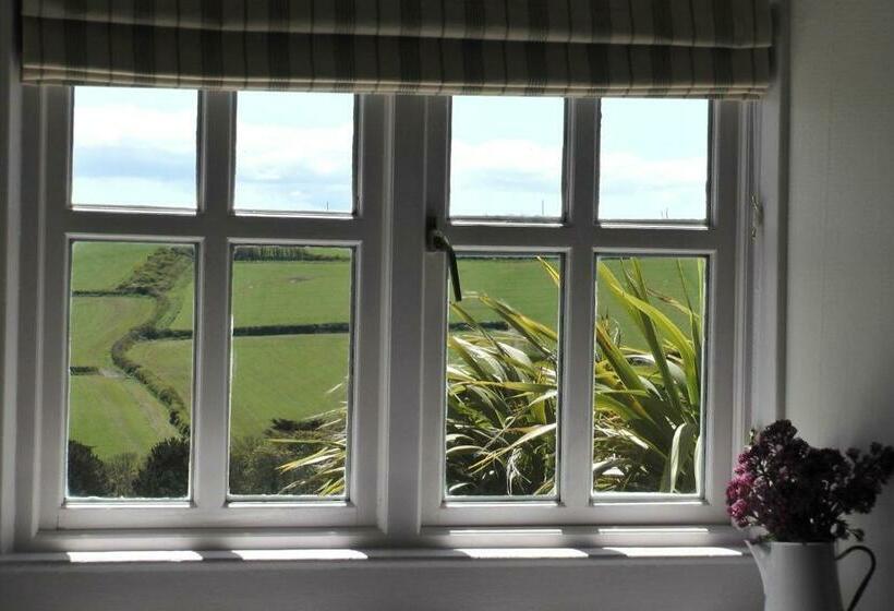 غرفة سوبيريور, Lellizzick Bed And Breakfast