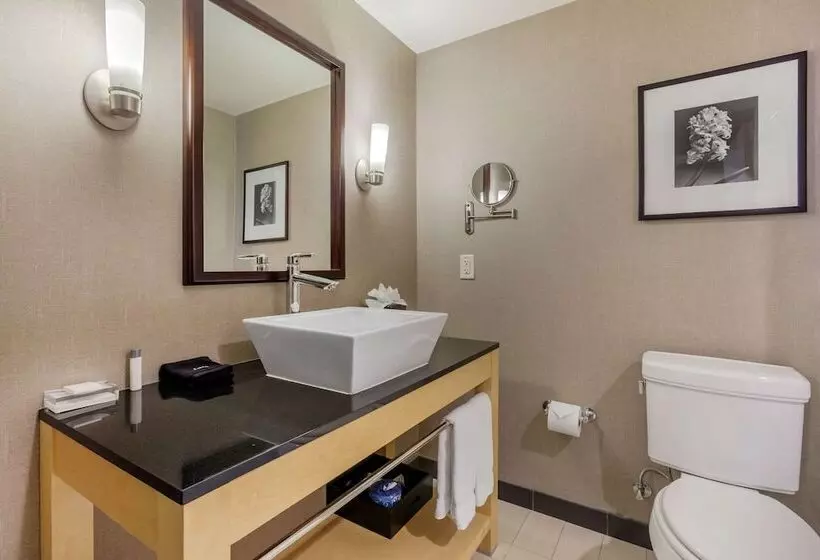 身障者適用スイートルーム, Cambria Hotel Denver International Airport