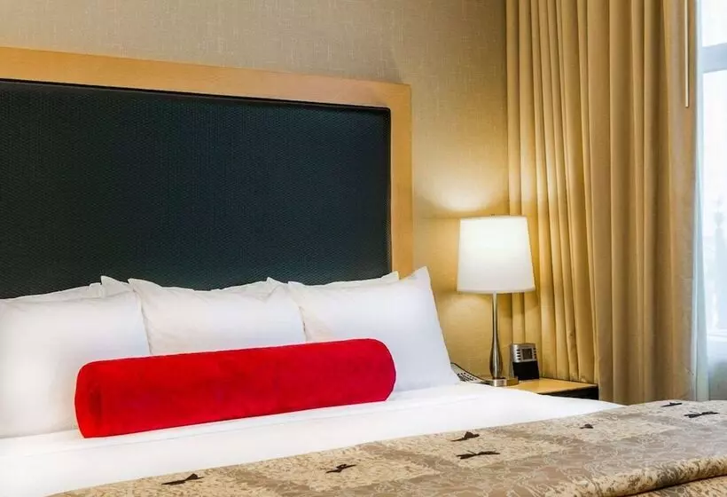 身障者適用スイートルーム, Cambria Hotel Denver International Airport