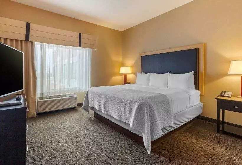 身障者適用スイートルーム, Cambria Hotel Denver International Airport