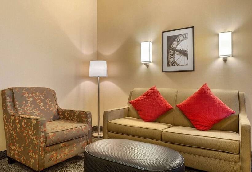 Люкс Адаптированный для Инвалидов, Cambria Hotel Denver International Airport