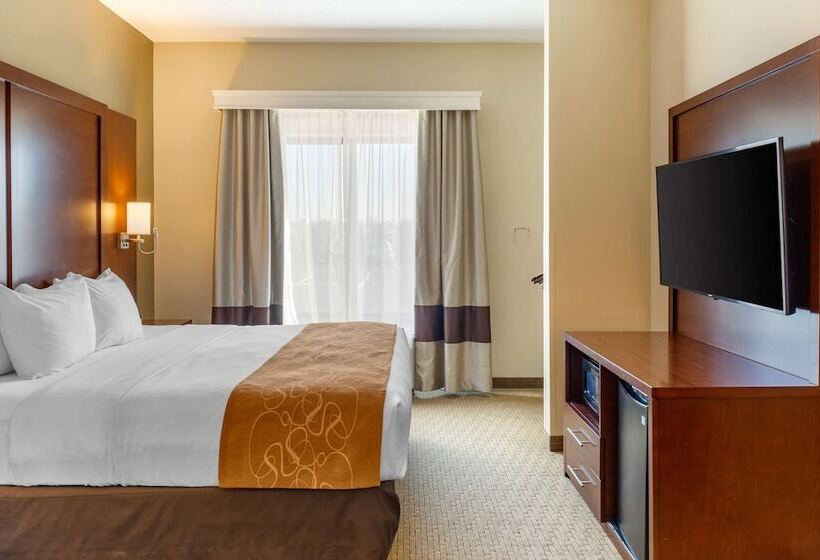 套房, Comfort Suites Amish Country