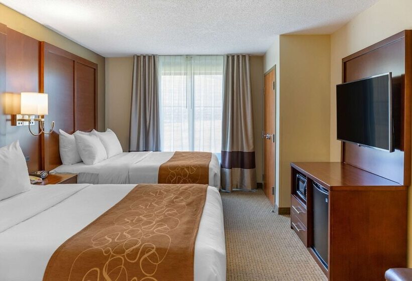 套房, Comfort Suites Amish Country