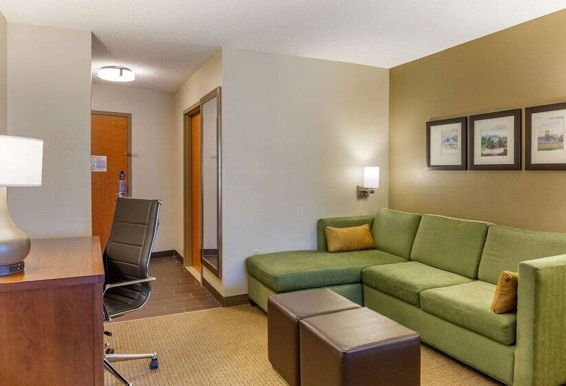 套房, Comfort Suites Amish Country