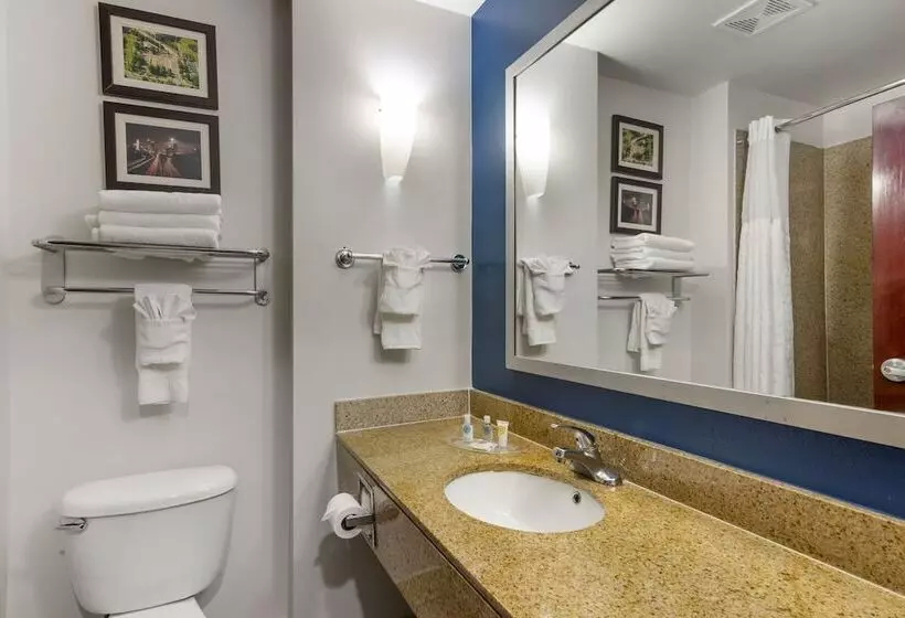 سوییت, Comfort Suites Atlanta Airport
