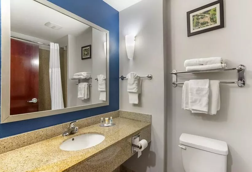 سوییت, Comfort Suites Atlanta Airport