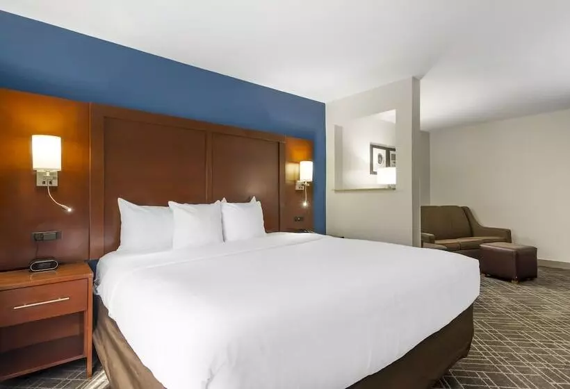 سوییت, Comfort Suites Atlanta Airport