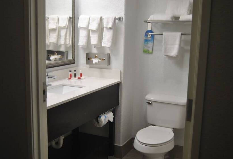 Люкс 2 Спальни, Days Inn & Suites By Wyndham San Antonio Near Frost Bank Center