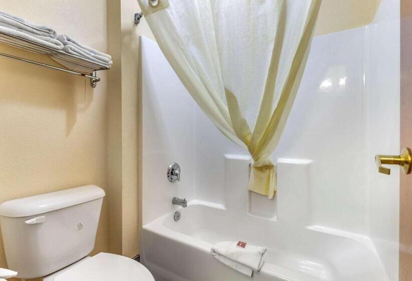 キングサイズベッドのスタンダードルーム, Econo Lodge