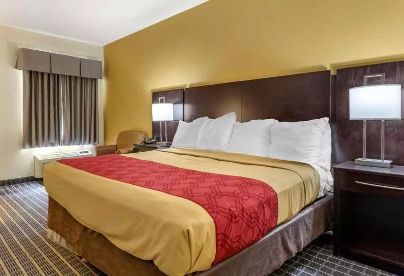 اتاق استاندارد با تخت بزرگ برای معلولان, Econo Lodge