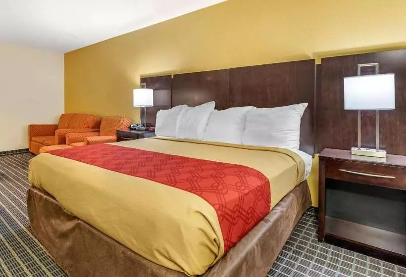 اتاق استاندارد با تخت بزرگ برای معلولان, Econo Lodge