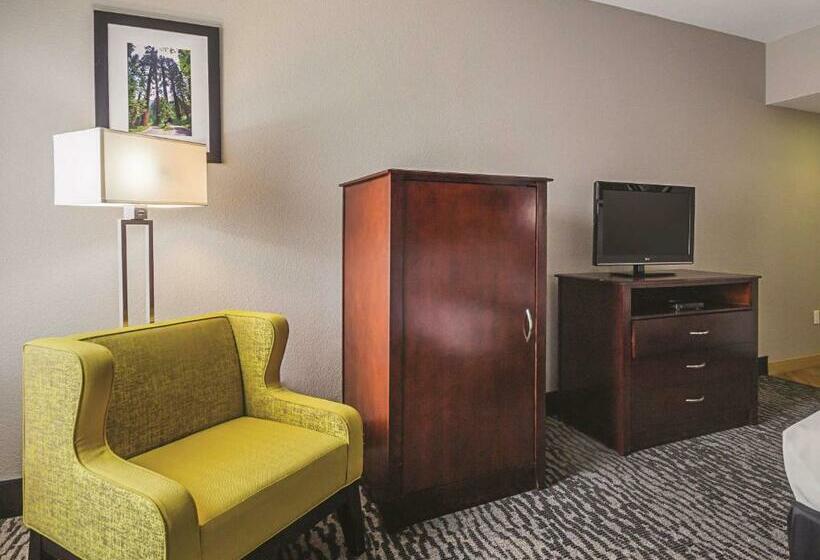 Номер Deluxe Кровать Кинг, La Quinta By Wyndham Fresno Northwest