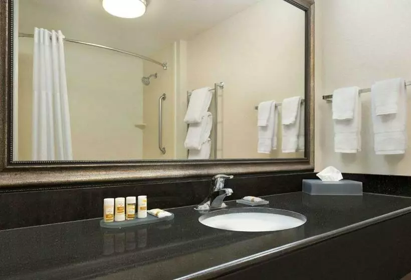 身障者適用スタンダードルーム, La Quinta By Wyndham Fresno Northwest