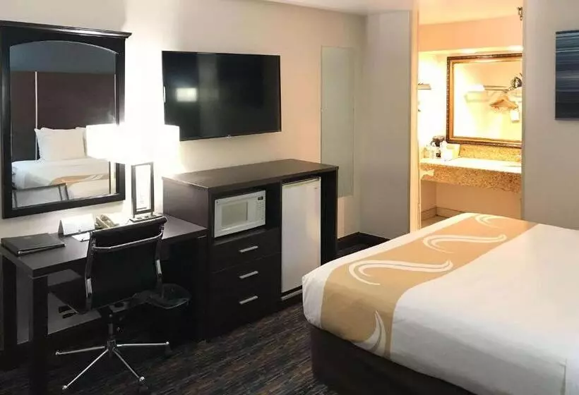 اتاق استاندارد با تخت بزرگ, Quality Inn Ontario Airport Convention Center