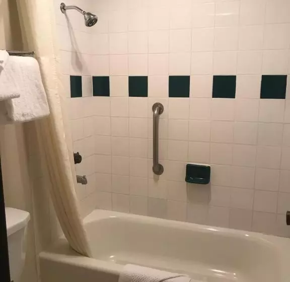 اتاق استاندارد با تخت بزرگ, Quality Inn Ontario Airport Convention Center