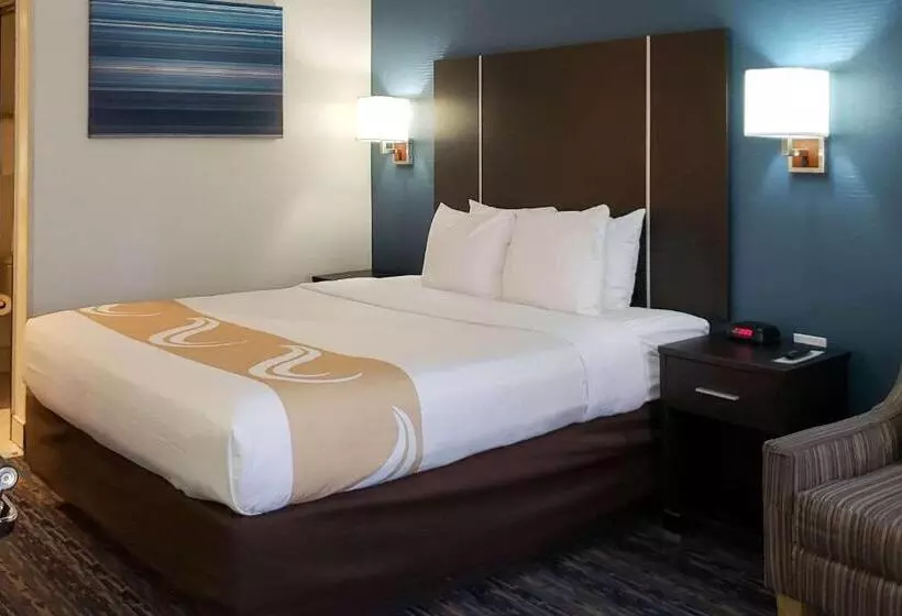 اتاق استاندارد با تخت بزرگ برای معلولان, Quality Inn Ontario Airport Convention Center