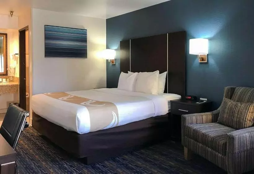 اتاق استاندارد با تخت بزرگ برای معلولان, Quality Inn Ontario Airport Convention Center