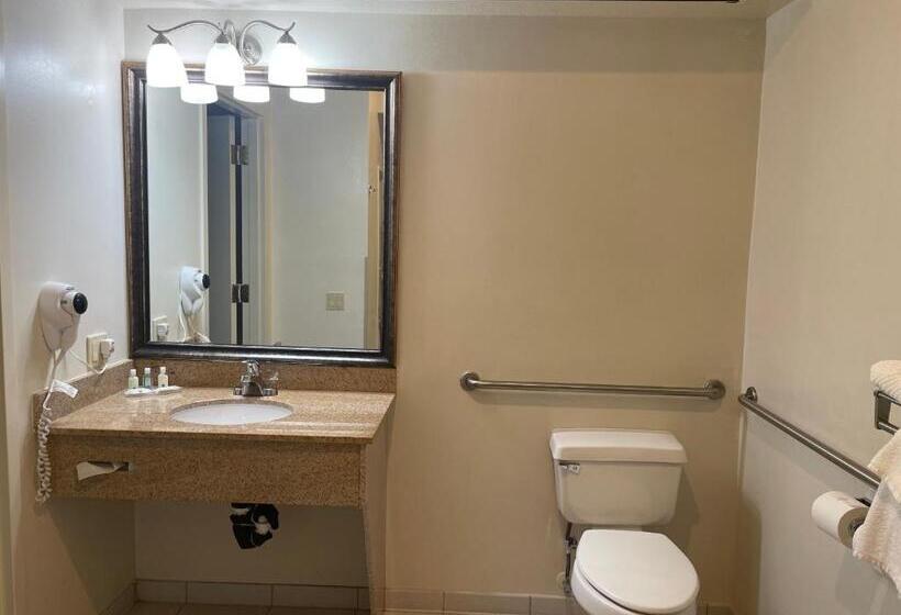 Номер Стандарт Кровать Кинг Адаптированный для Инвалидов, Quality Inn & Suites Longview Kelso