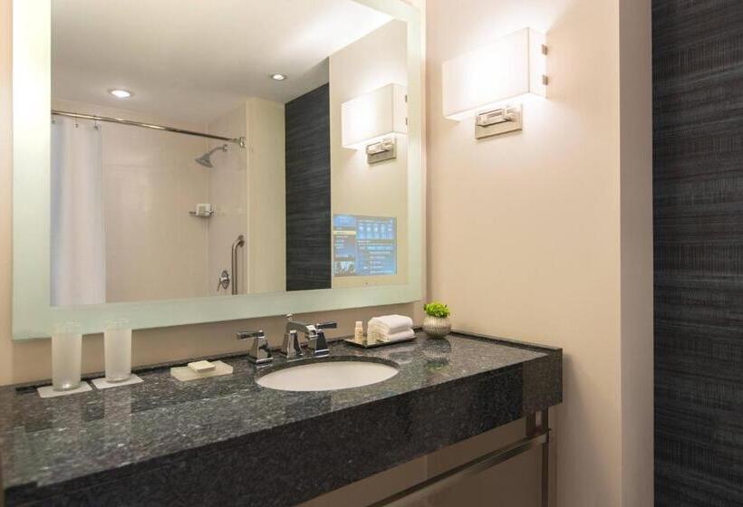 클럽 룸, Renaissance Schaumburg Convention Center