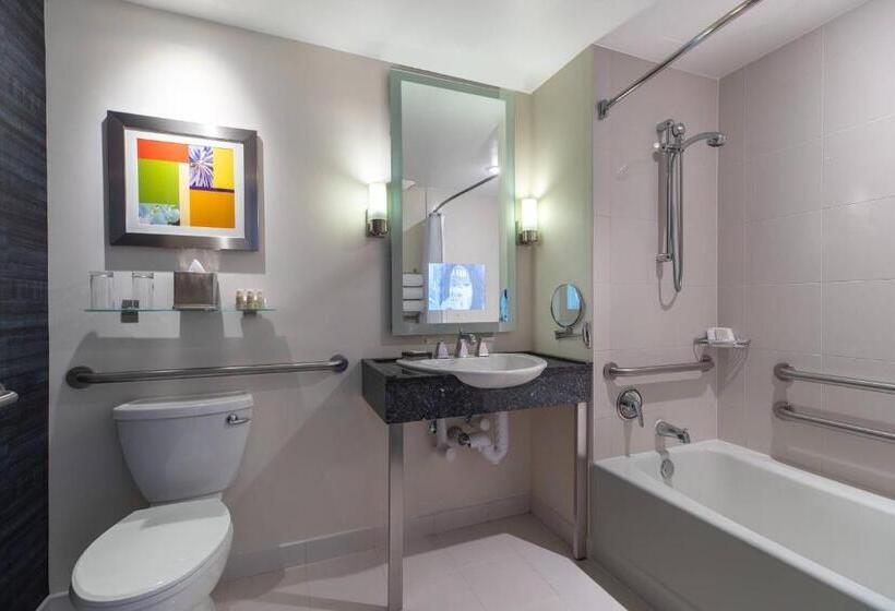 장애인을 위한 킹사이즈 침대 스탠다드 룸, Renaissance Schaumburg Convention Center